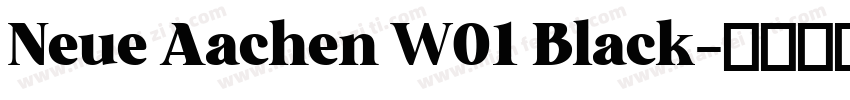 Neue Aachen W01 Black字体转换
